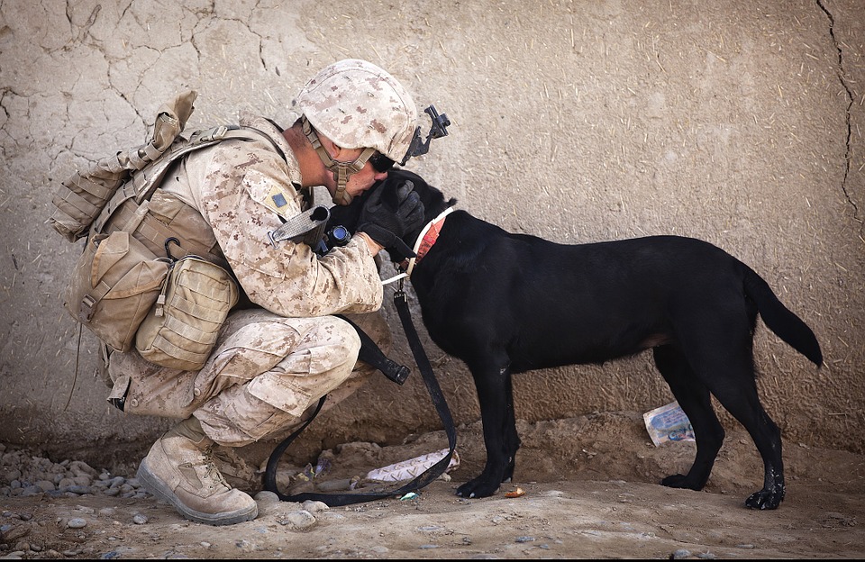 Soldier with his loyal dog