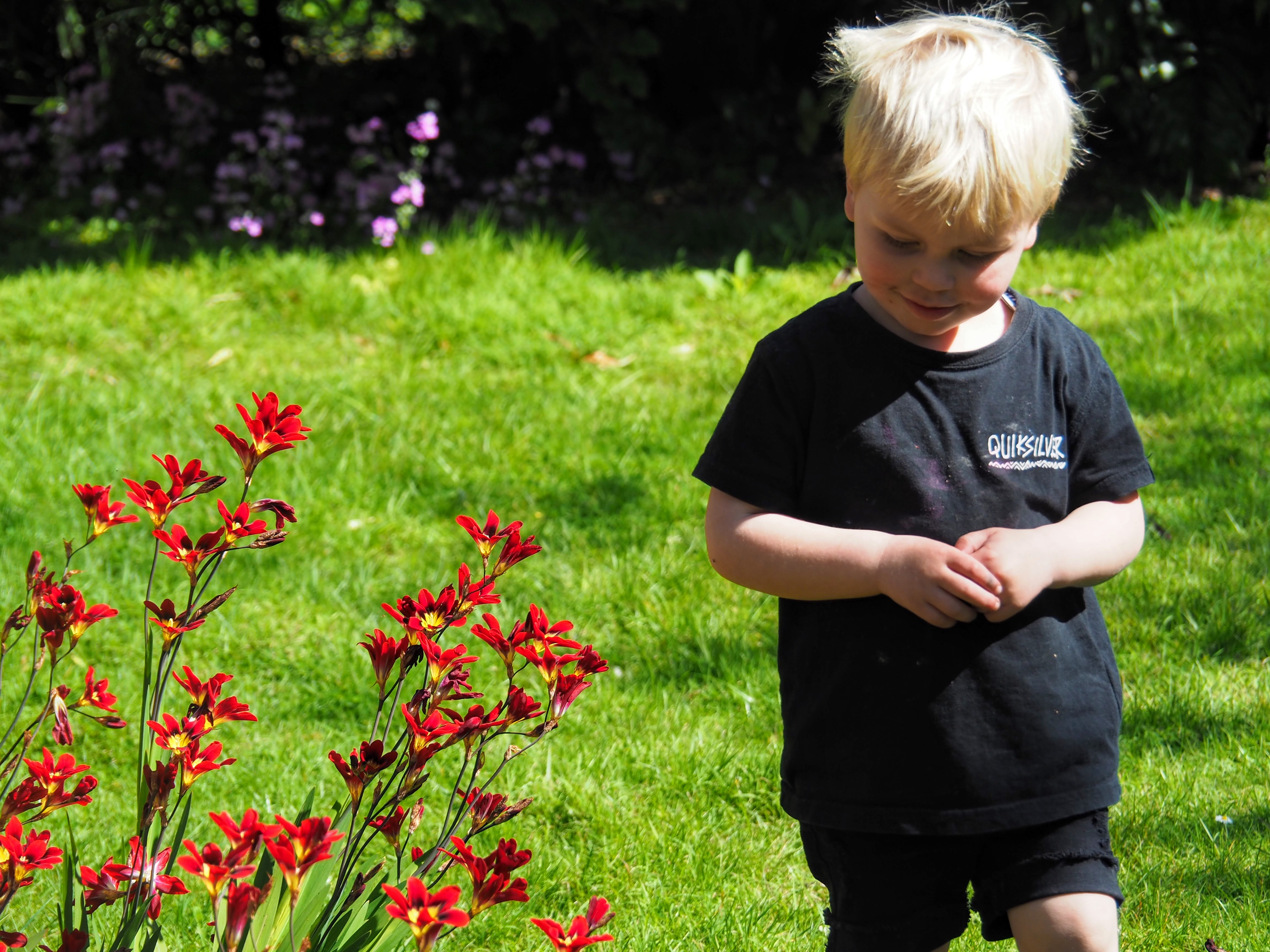 Child in a garden